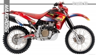 HONDA XR650R 2001-2009 REDBULL STYLE