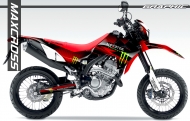 HONDA CRF250L/M 2012-2020 MONSTER STYLE