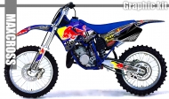 YAMAHA YZ125 YZ250 1996-2001 REDBULL STYLE