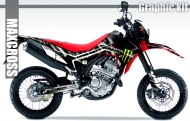 HONDA CRF250L/M 2012-2020 MONSTER STYLE
