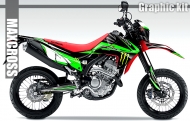 HONDA CRF250L/M 2012-2020 MONSTER STYLE